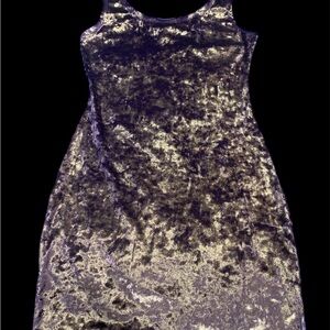 Elegant Velvet Dress in Purple